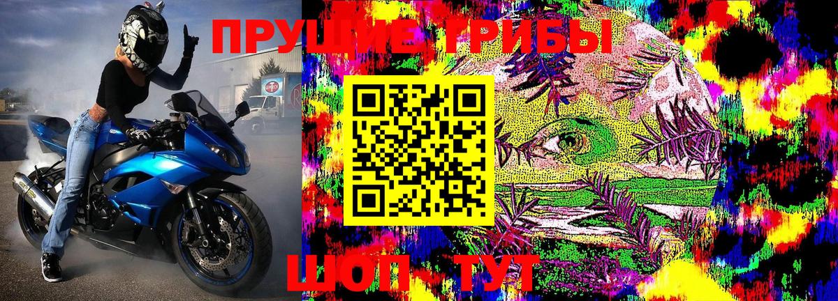 Псилоцибиновые грибы Psilocybe  Псилоцибиновые грибы GOLDEN TEACHER  Вход с VPN  Карасук 